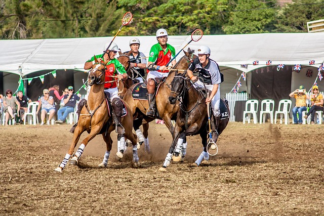 能够学习和