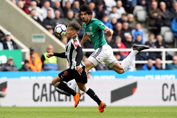 军的续约风 军的续约风